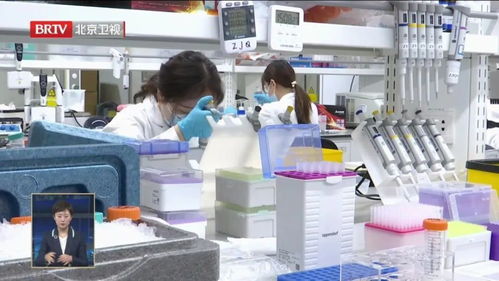 中国生物科技从0到1的突破 生物化工产品技术研发的基石与未来