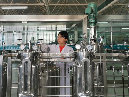 徐州医药高职教师刘晓娟获评江苏省高校“青蓝工程”中青年学术带头人培养对象