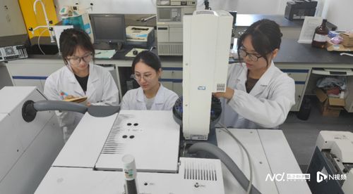 顺职学子勇攀科研高峰，工业废气协同净化技术引领绿色化工新变革